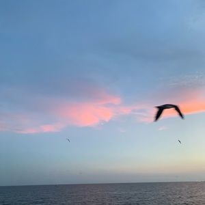 Meet your Posher, Ariana